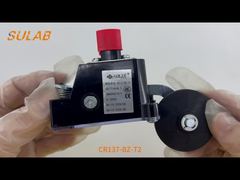 Công tắc giới hạn hạng nặng CR137-BZ-T2 có xếp hạng IP67, Danh bạ tác động nhanh 2×SPDT và Con lăn thép L