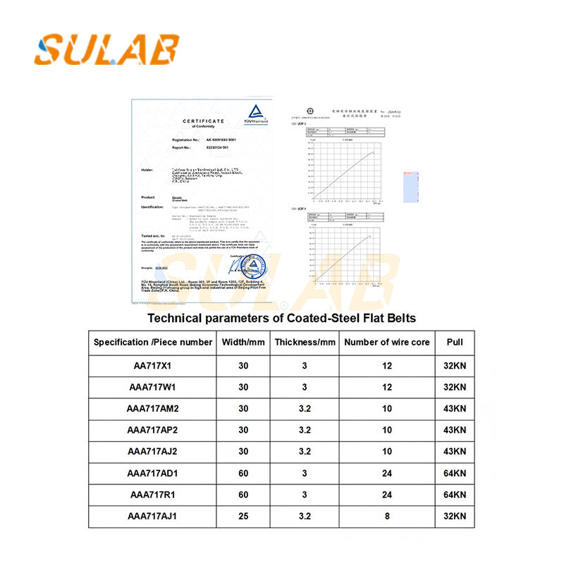 OTIS Gen2 Elevator Traction Steel Belt AAA79176M | PU Coated Flat Steel Belt For Lift Replacement 30mm Width Flat Belt